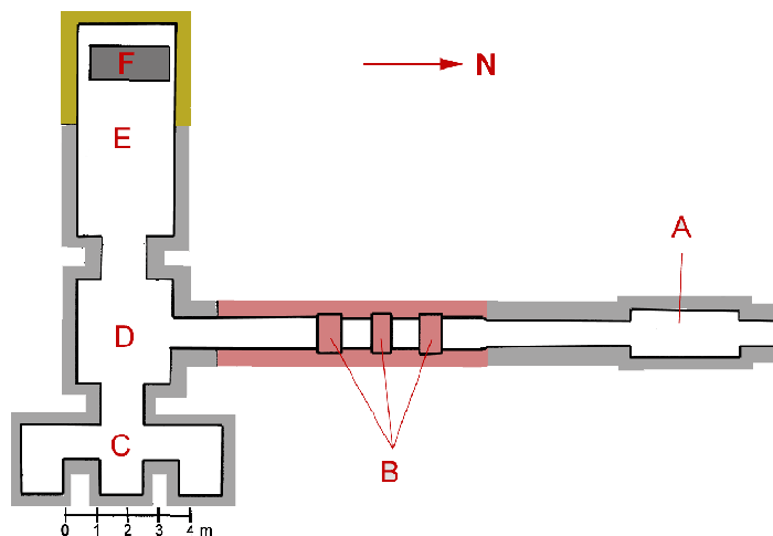 Venis