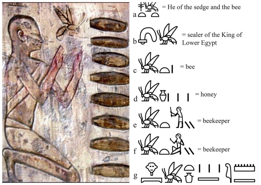 Posvátná včela ve starověkém Egyptě
